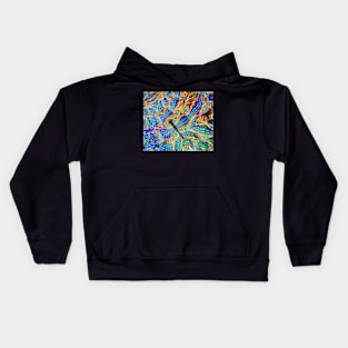 Silky Cosmic Color Swirl Kids Hoodie